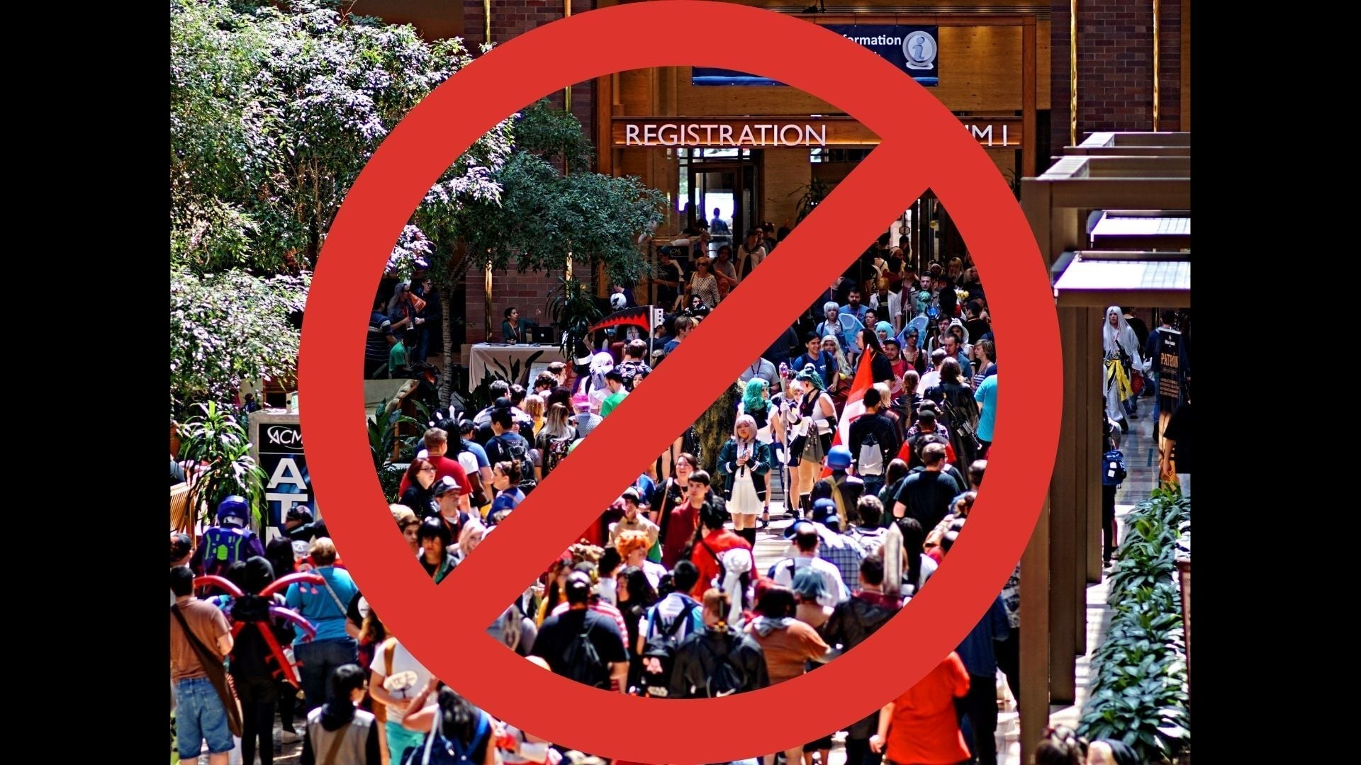 Photo: Reed Means / Kotaku