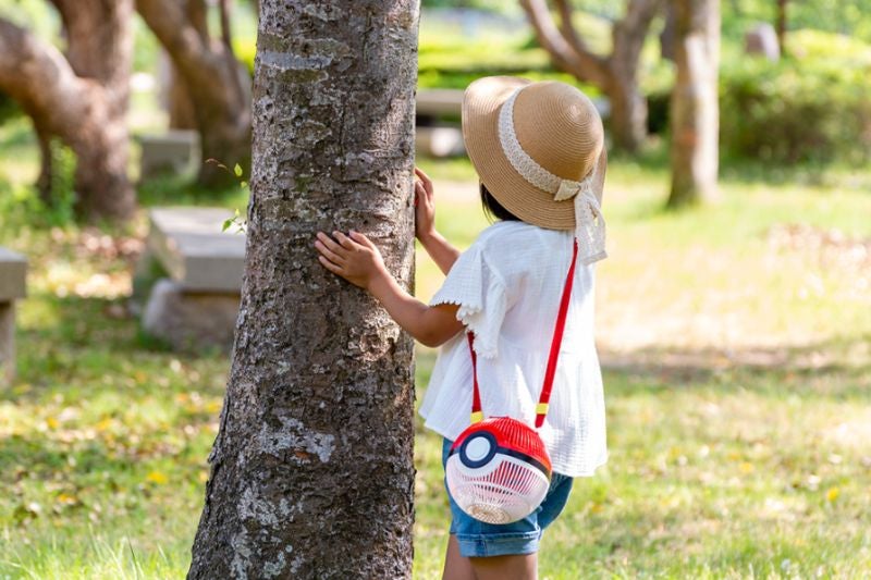 Image: ©Nintendo・Creatures・GAME FREAK・TV Tokyo・ShoPro・JR Kikaku ©Pokémon