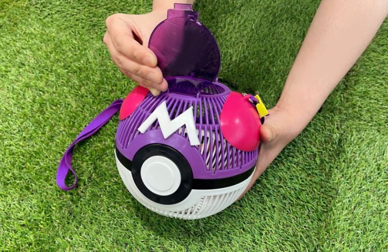 Image: ©Nintendo・Creatures・GAME FREAK・TV Tokyo・ShoPro・JR Kikaku ©Pokémon