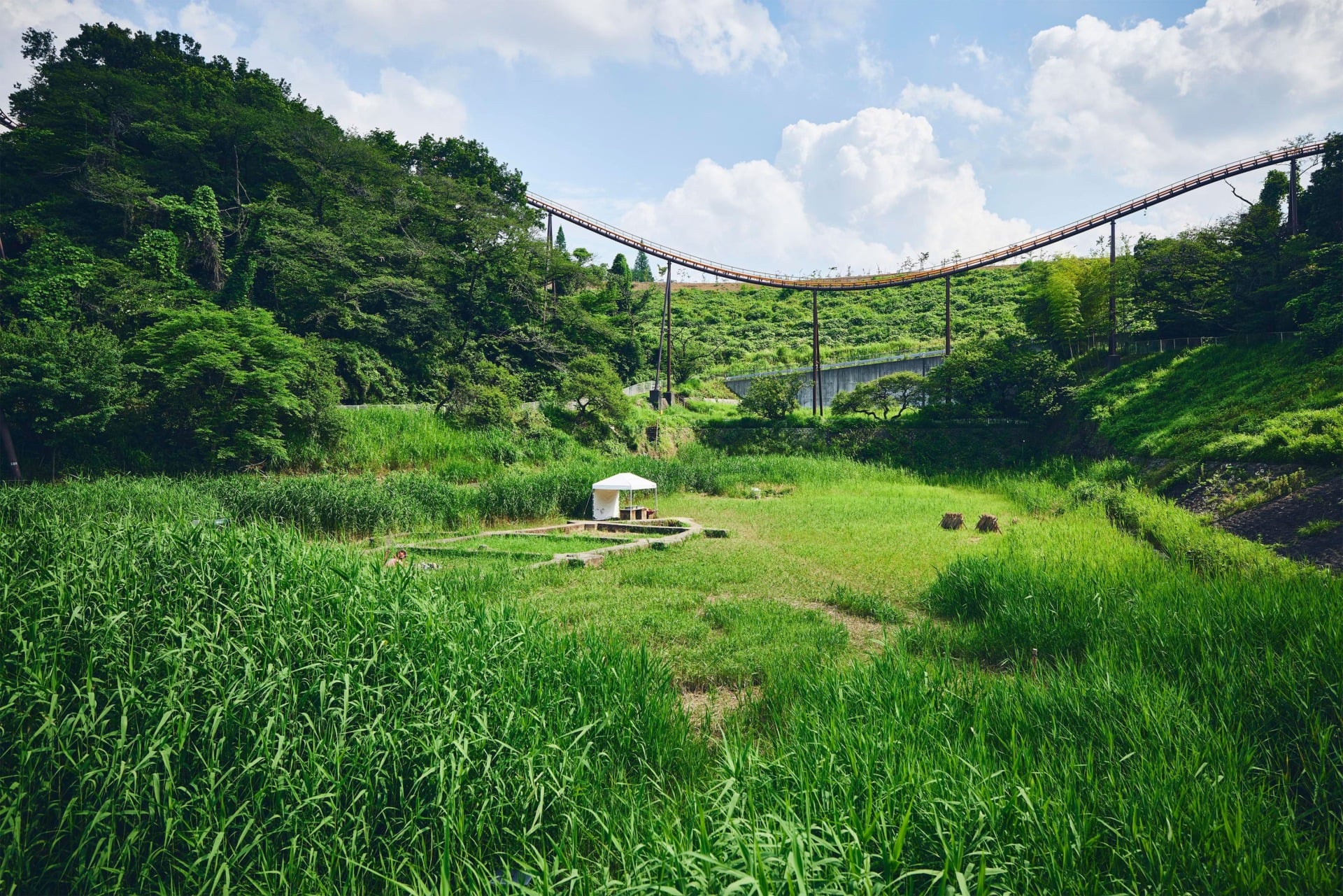 A grassy field where you’d expect to find Pokémon. 