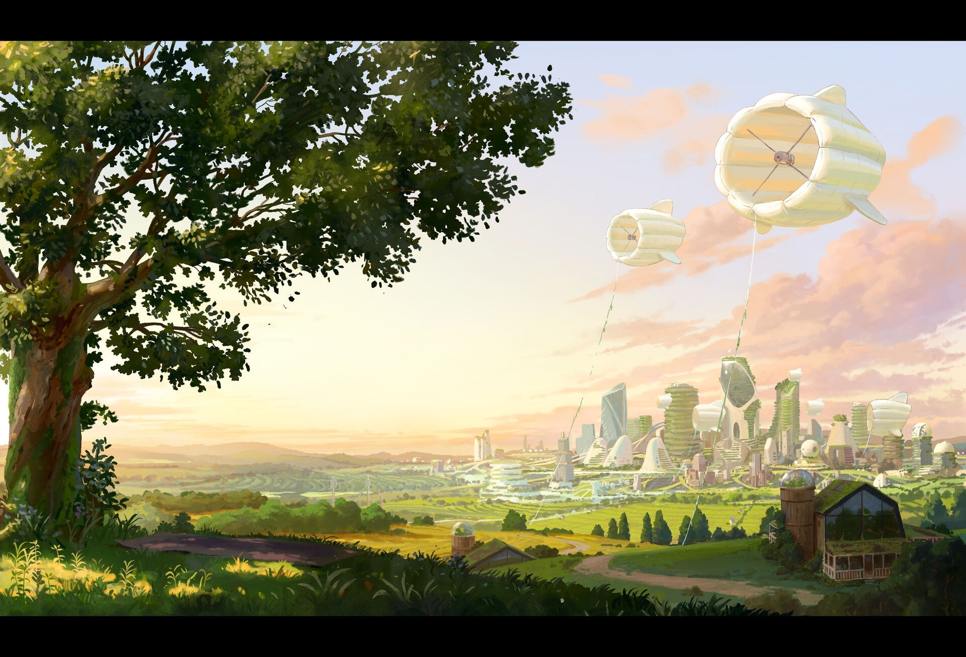 Image: The Line Animation Studio