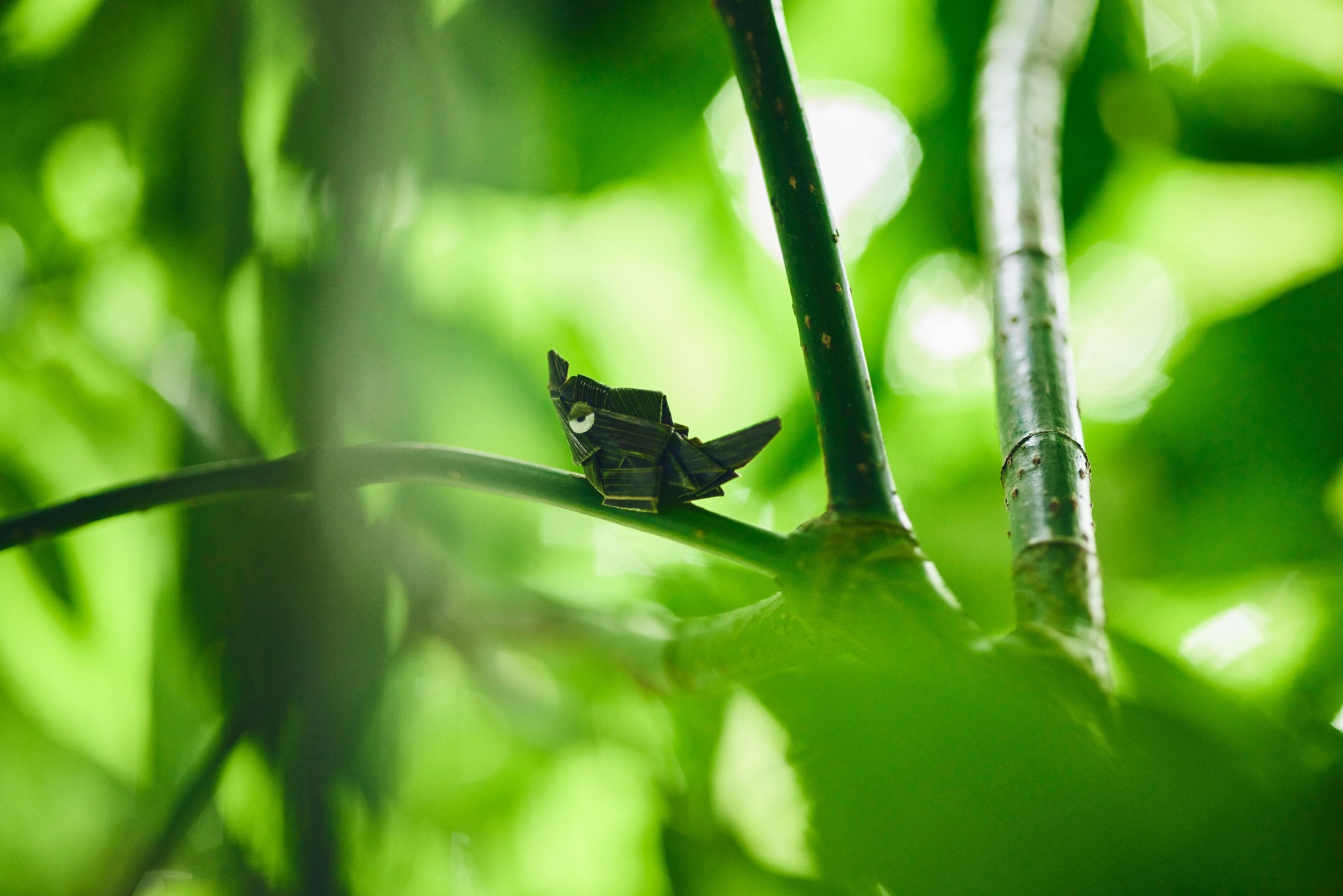 Spotting this Pokémon would be tricky!