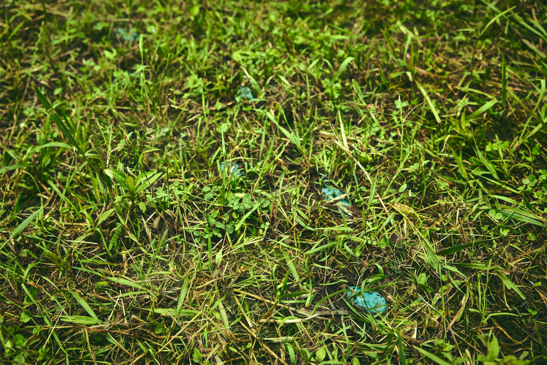 Can you tell what Pokémon that is? 