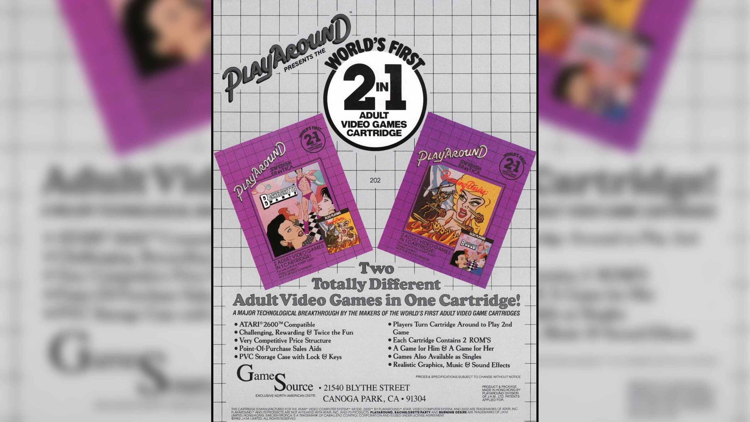 A GameSource-branded flyer promotes one of the companyâs new 2-in-1 adult video game cartridges.