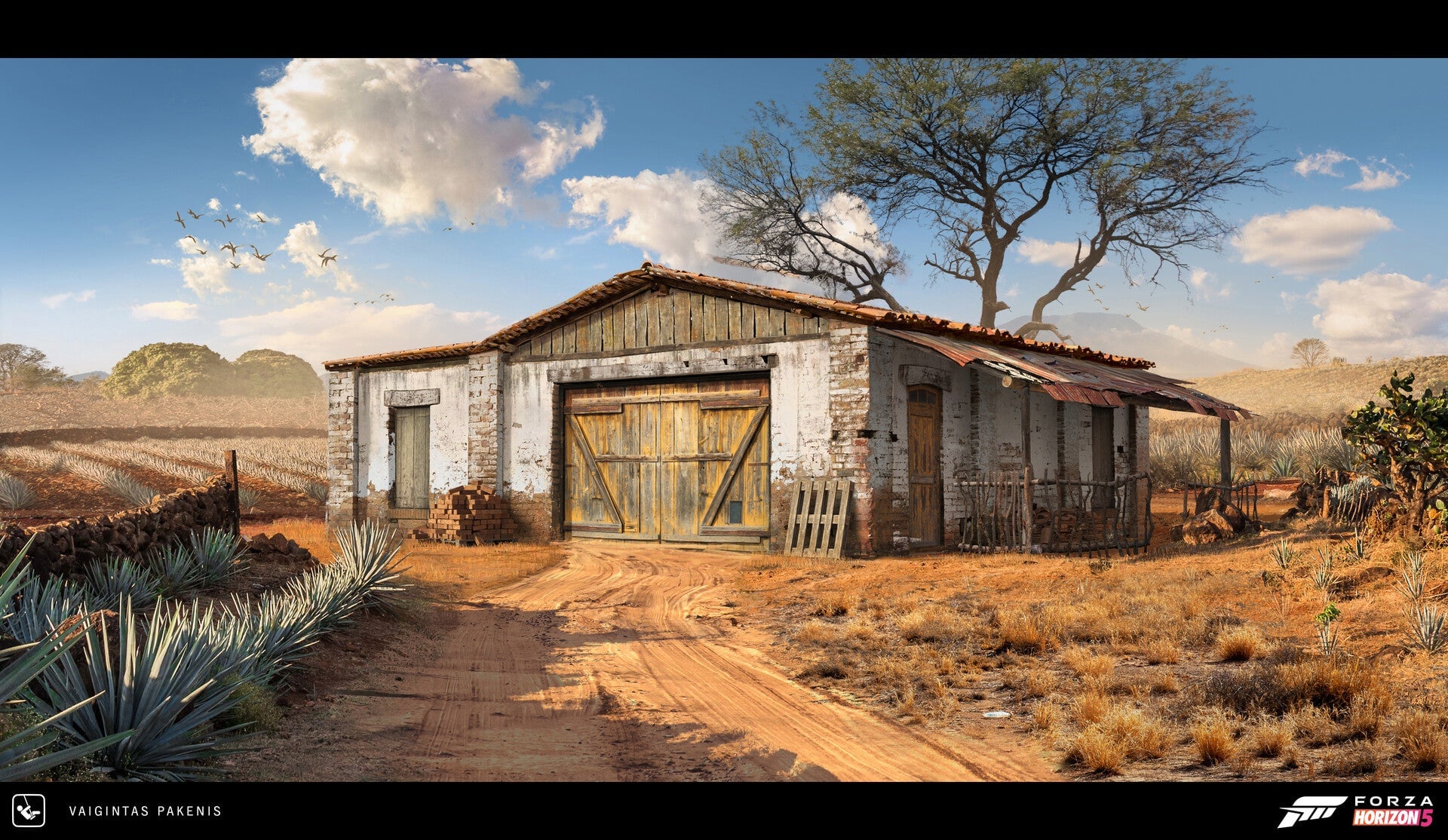 Image: Forza Horizon 5