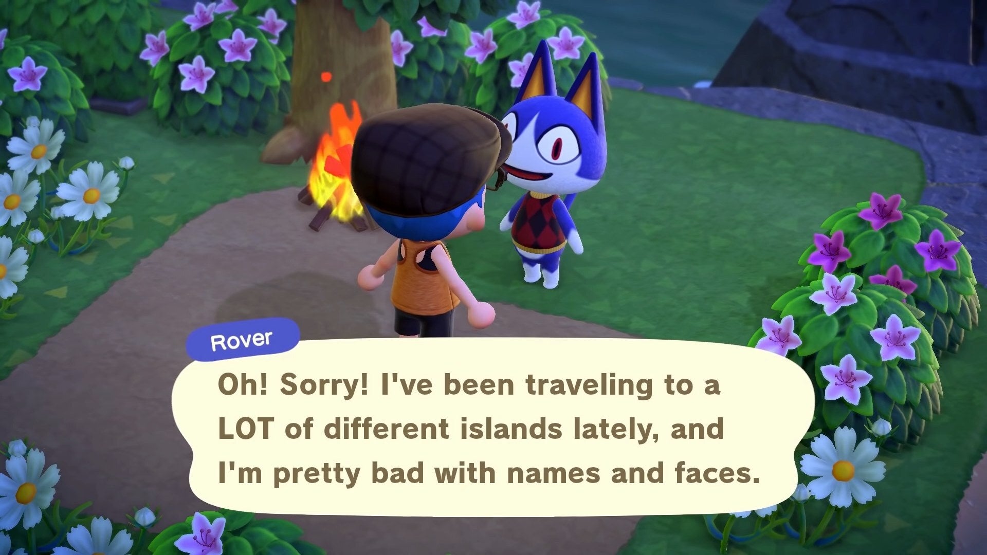 Rover probably adds milk to his coffee instead of cream. 