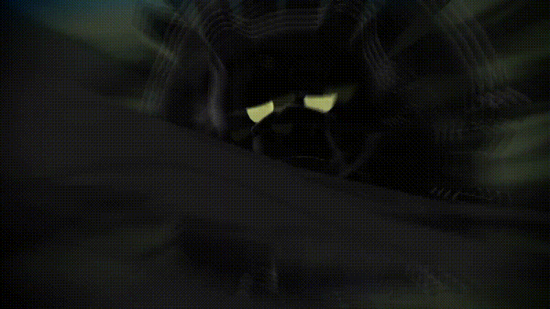 Gif: The Pokémon Company / MonkeyKingHero / Kotaku