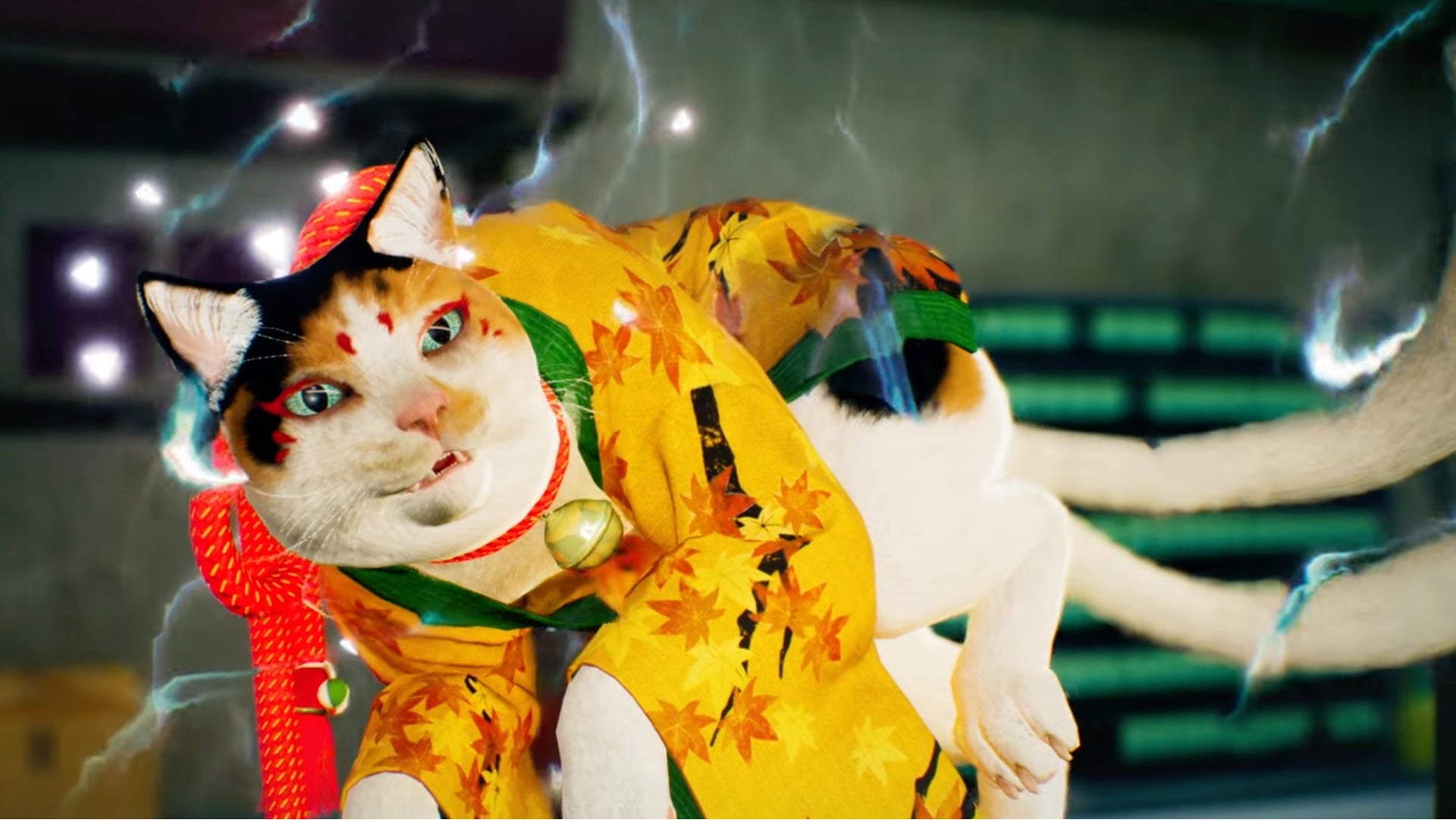 What I do know is this cat is ADORABLE!