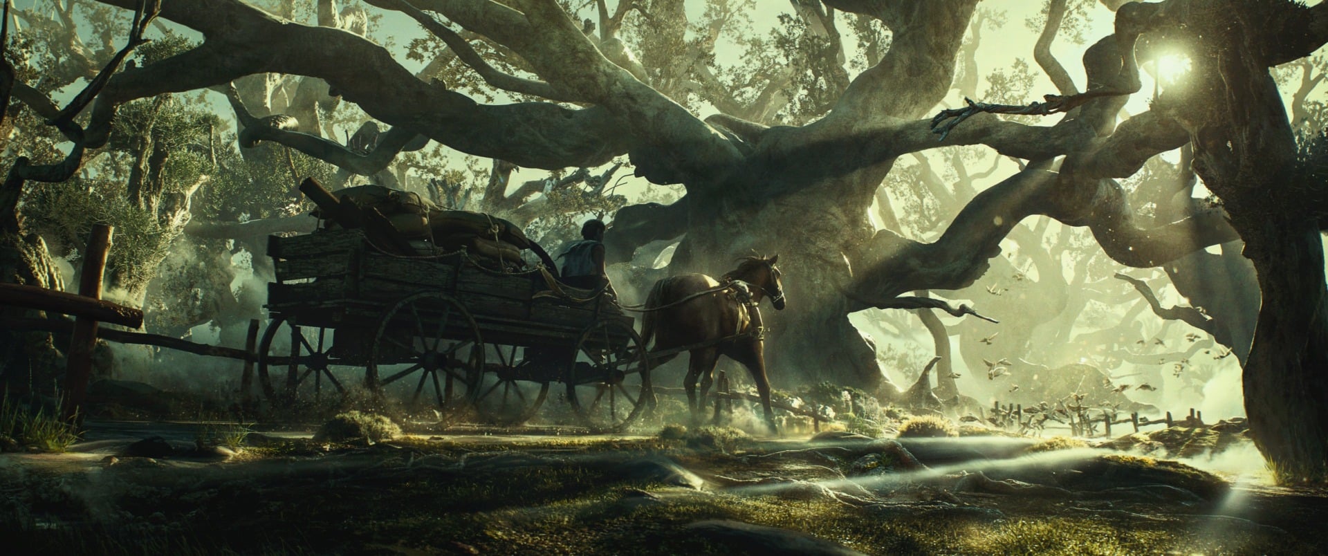 Image: Borys Kernytskyi