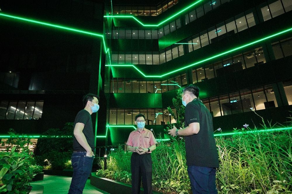 I hope you like the colors green and black. 