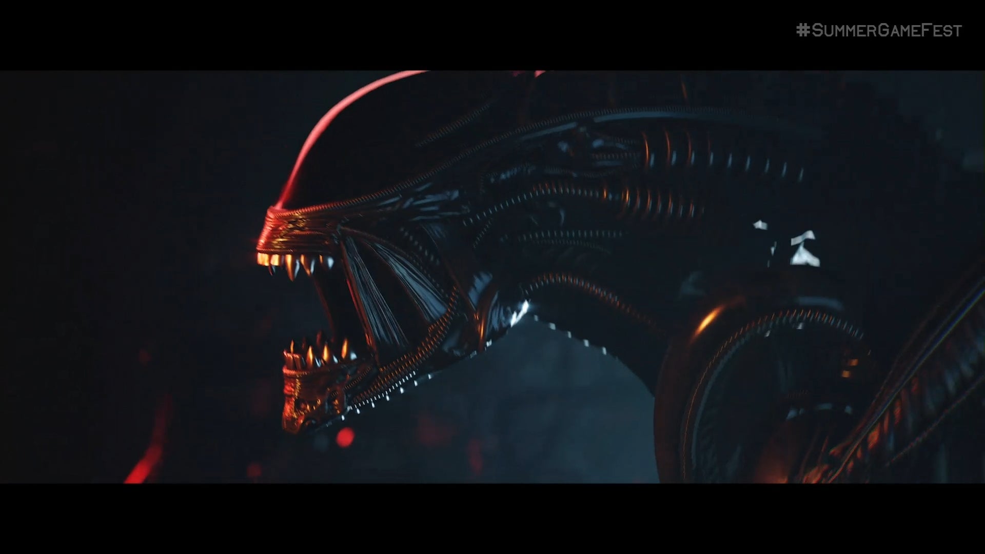 Screenshot: Focus / Kotaku