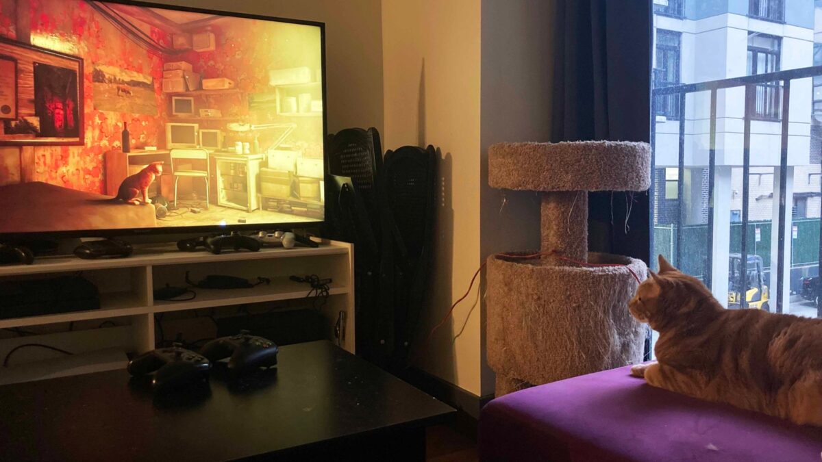 Real Cats Also Love Stray, The Cyberpunk Cat Game - Kotaku
