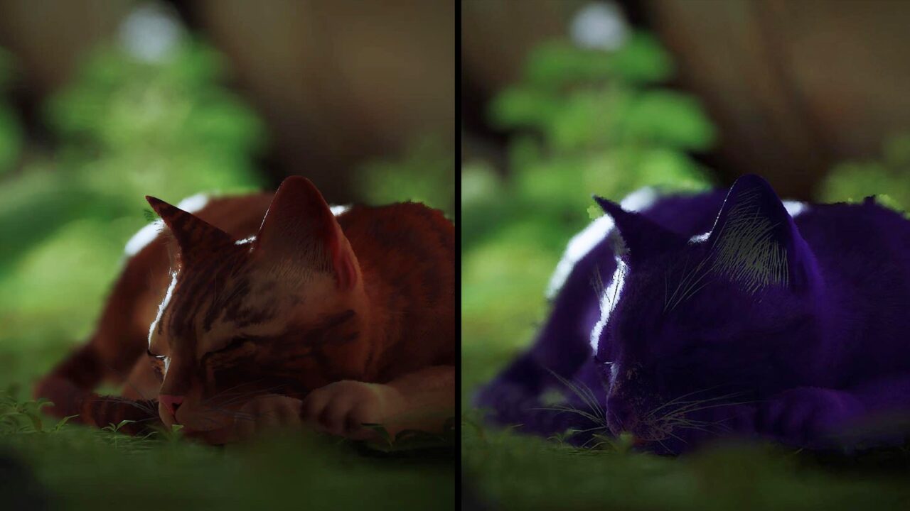 Why The Cat In Stray Is Orange (And How You Can Change It) - Kotaku