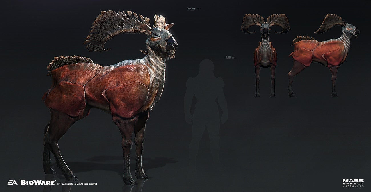 Image: Ken Fairclough