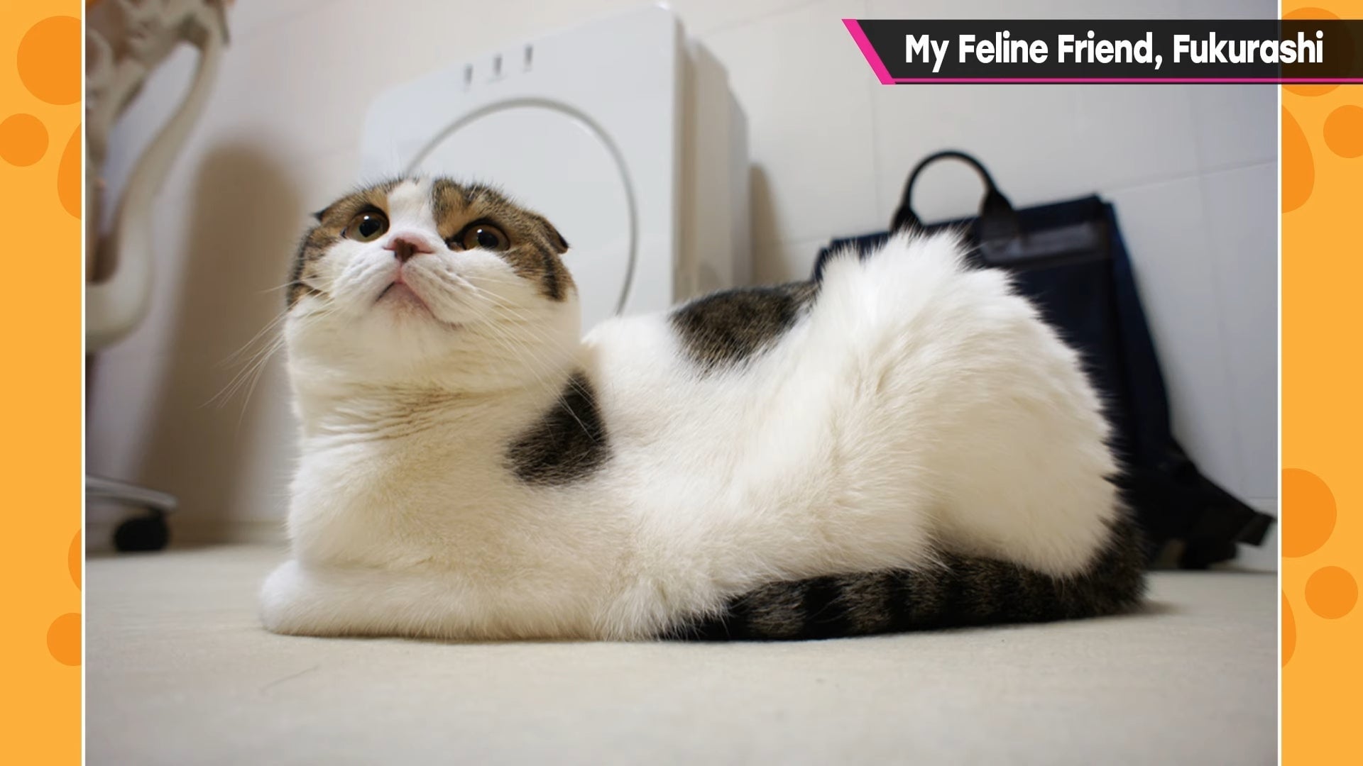 Screenshot: Masahiro Sakurai / Kotaku