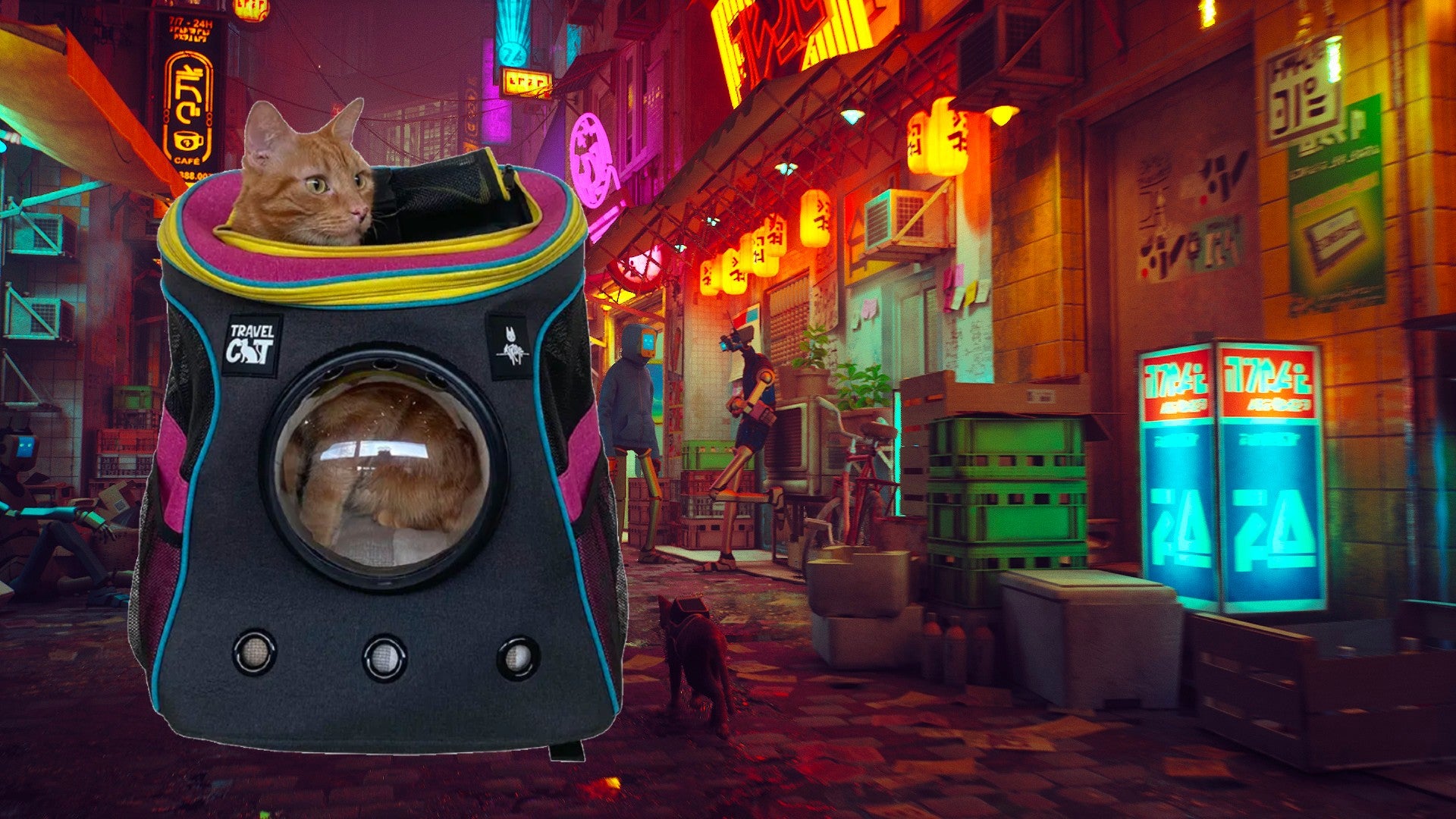 Image: Travel Cat / Annapurna Interactive / Kotaku