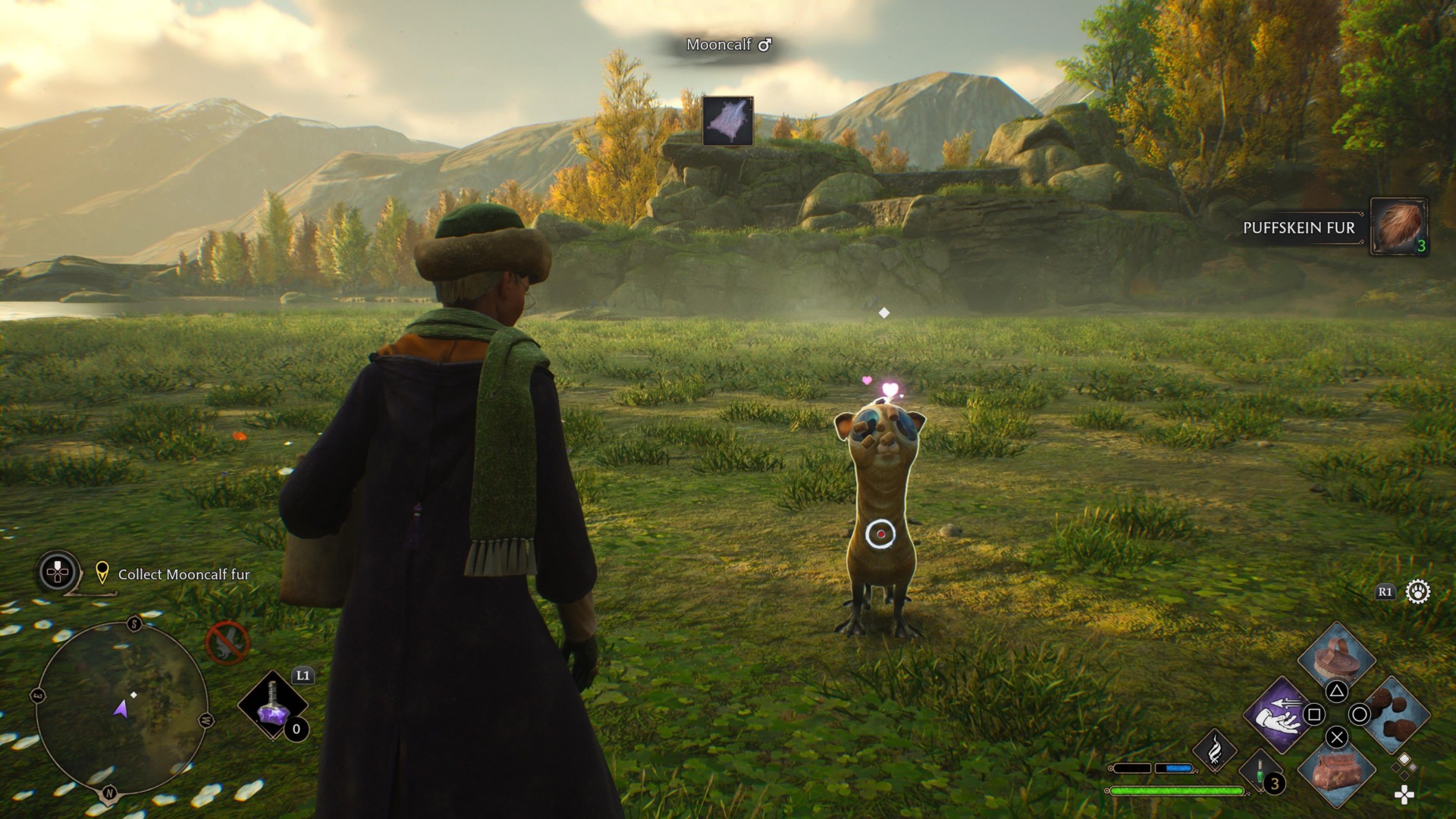 Donāt mind me just harvesting rescue animal fur.