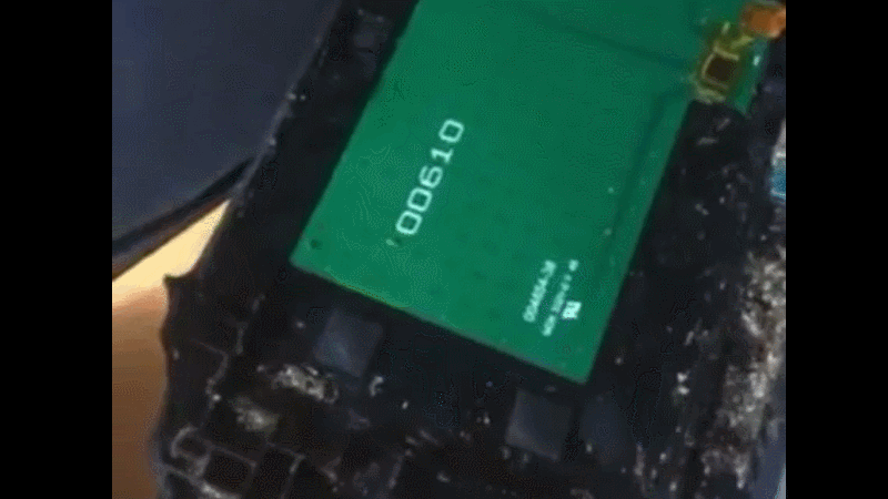 Gif: mutdualeo / Kotaku