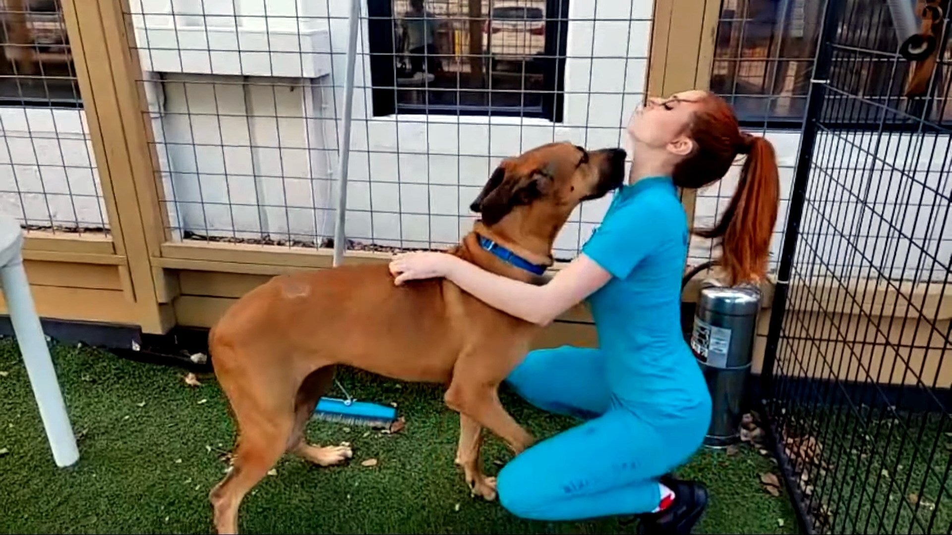 Screenshot: Amouranth / Kotaku