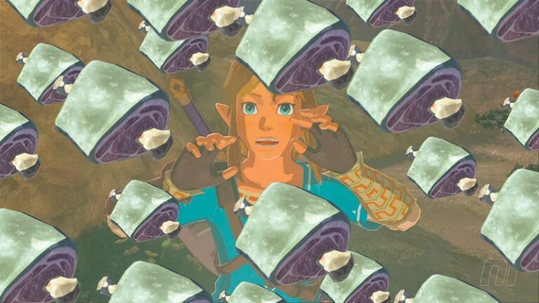 New Zelda: Tears Of The Kingdom Infinite Glitch Gets You 5K Rupees A ...