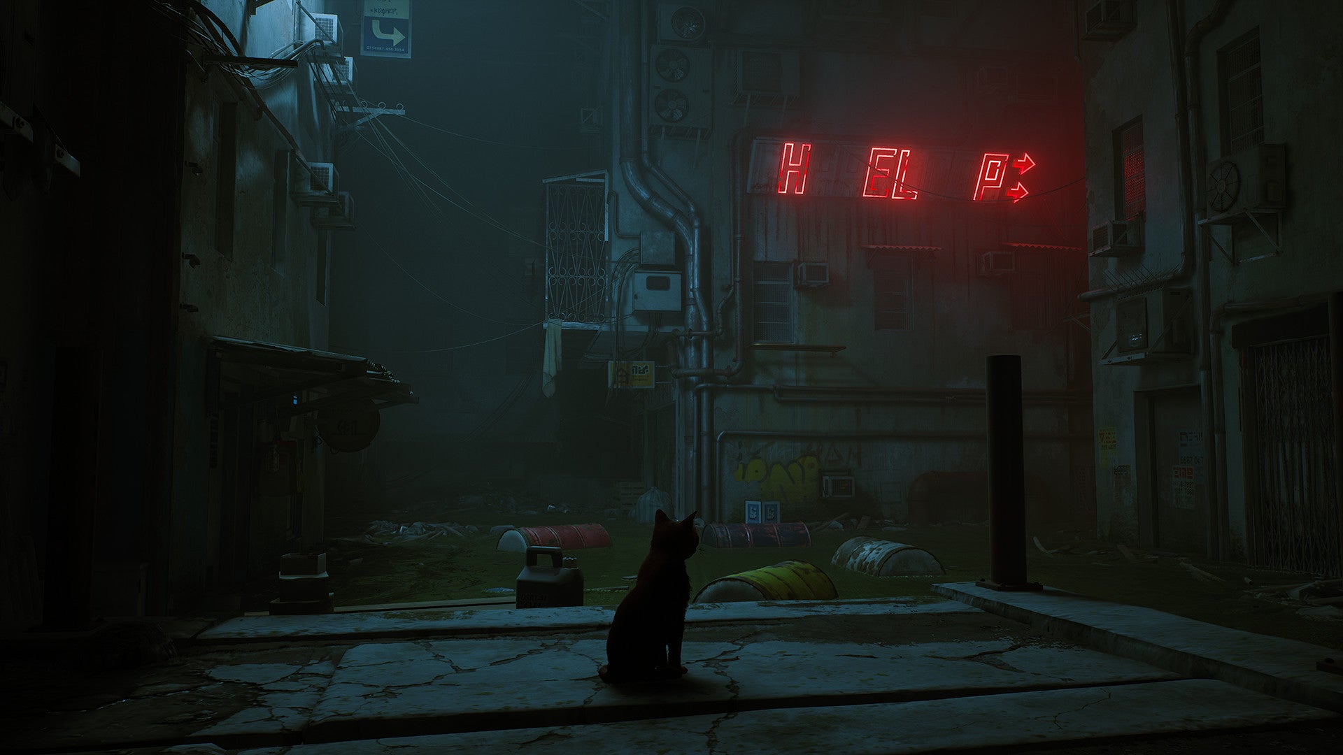 Meow.