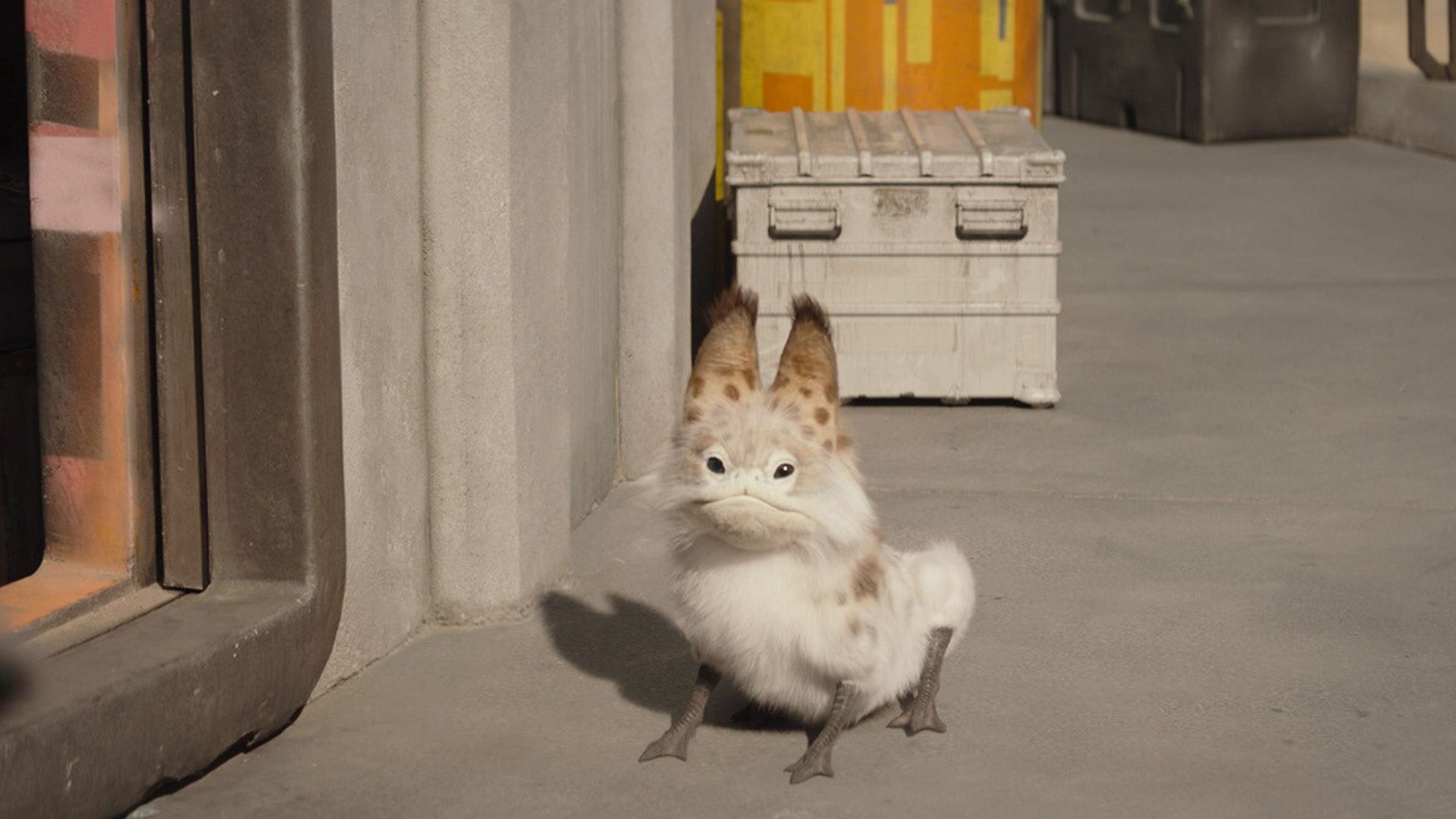 I would die for this little man.