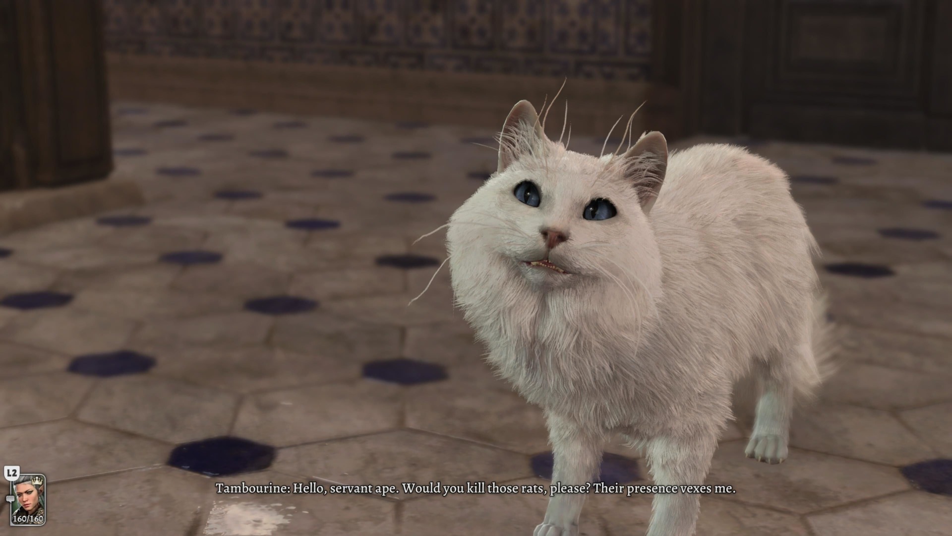 Screenshot: Kotaku / Larian Studios