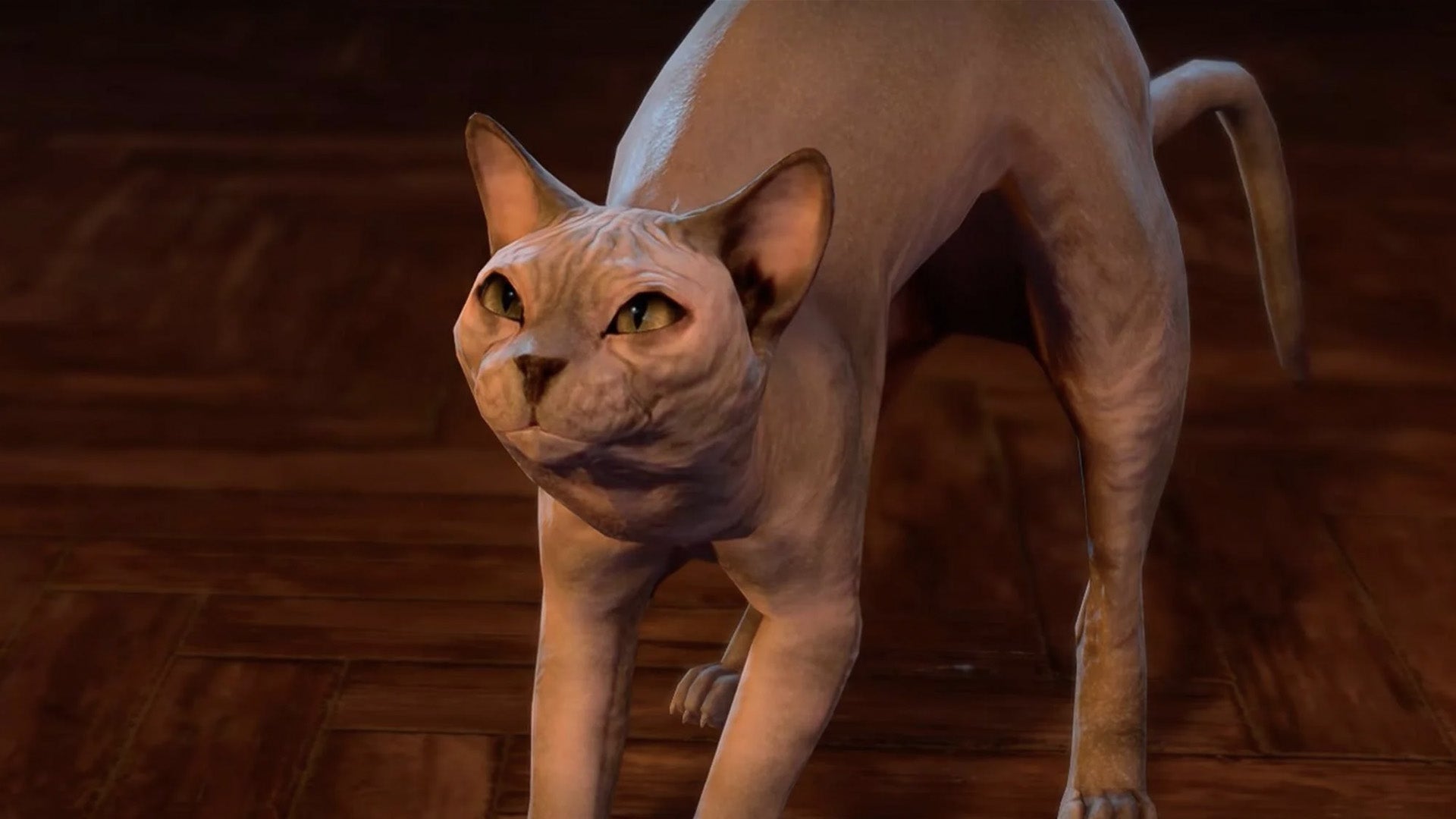 Screenshot: Kotaku / Larian Studios