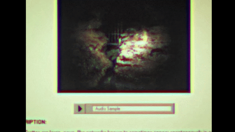 Gif: Night Signal Entertainment / Kotaku