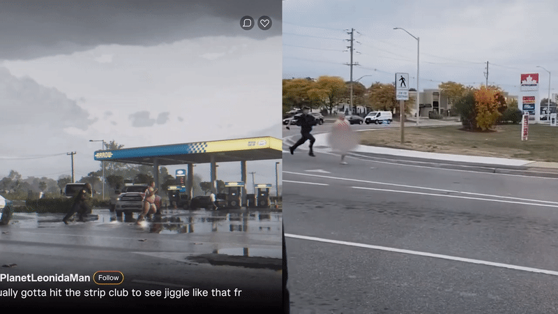 Gif: Rockstar Games / CHCH News / Kotaku