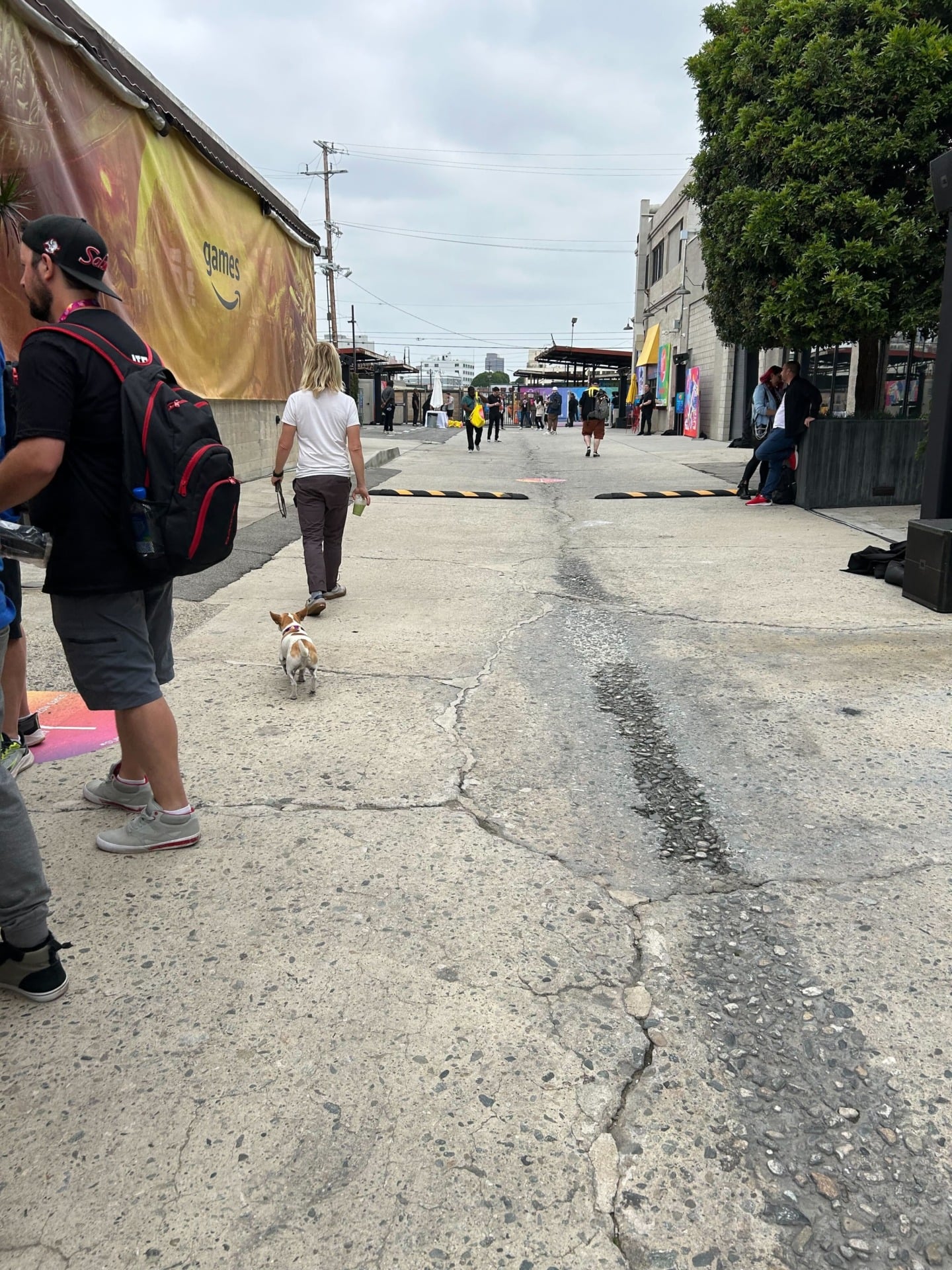 Photo: Alyssa Mercante