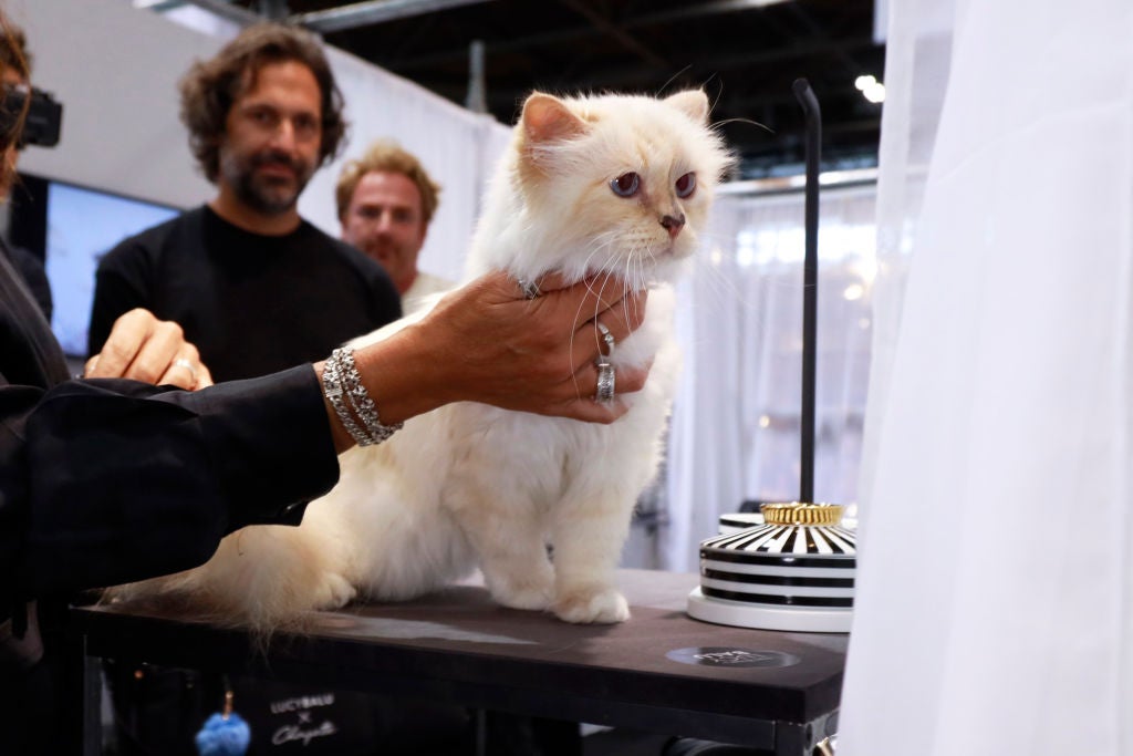 Choupette is pictured on the LucyBalu stand during the LucyBalu Product Presentation at Paris Nord Villepinte on September 09, 2022 in Paris, France.