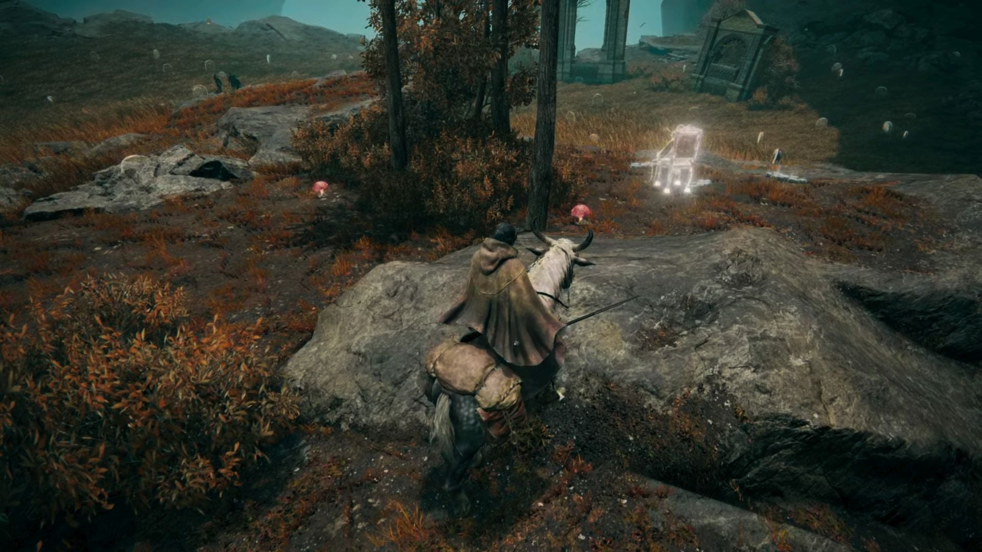 Screenshot: FromSoftware / Kotaku