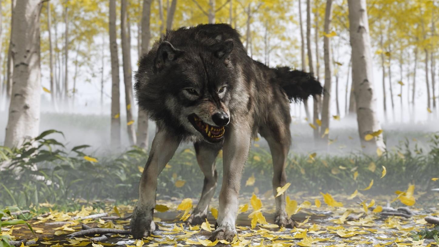 Image: Sucker Punch Productions