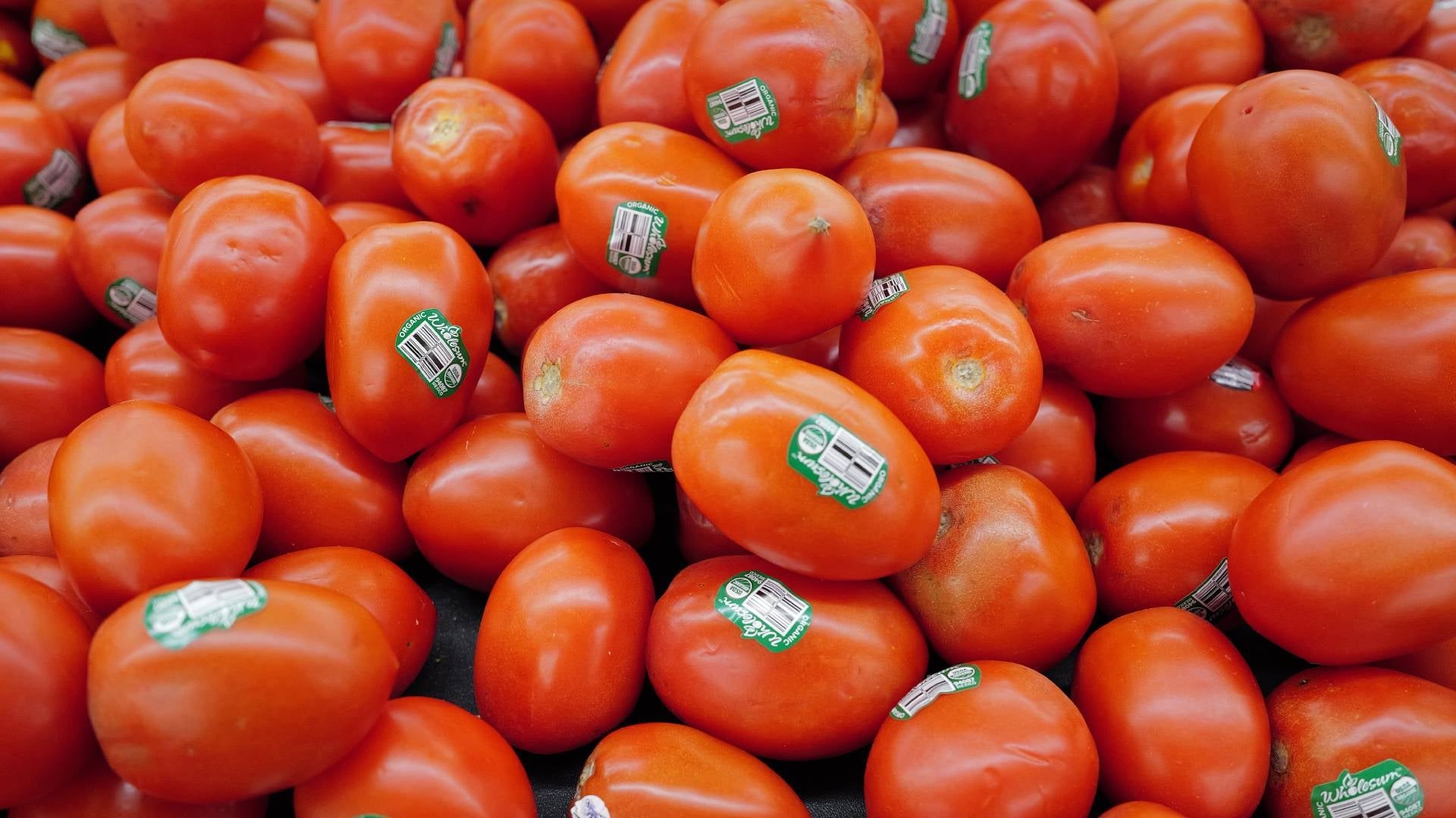 Photo: Scott Olson / Staff