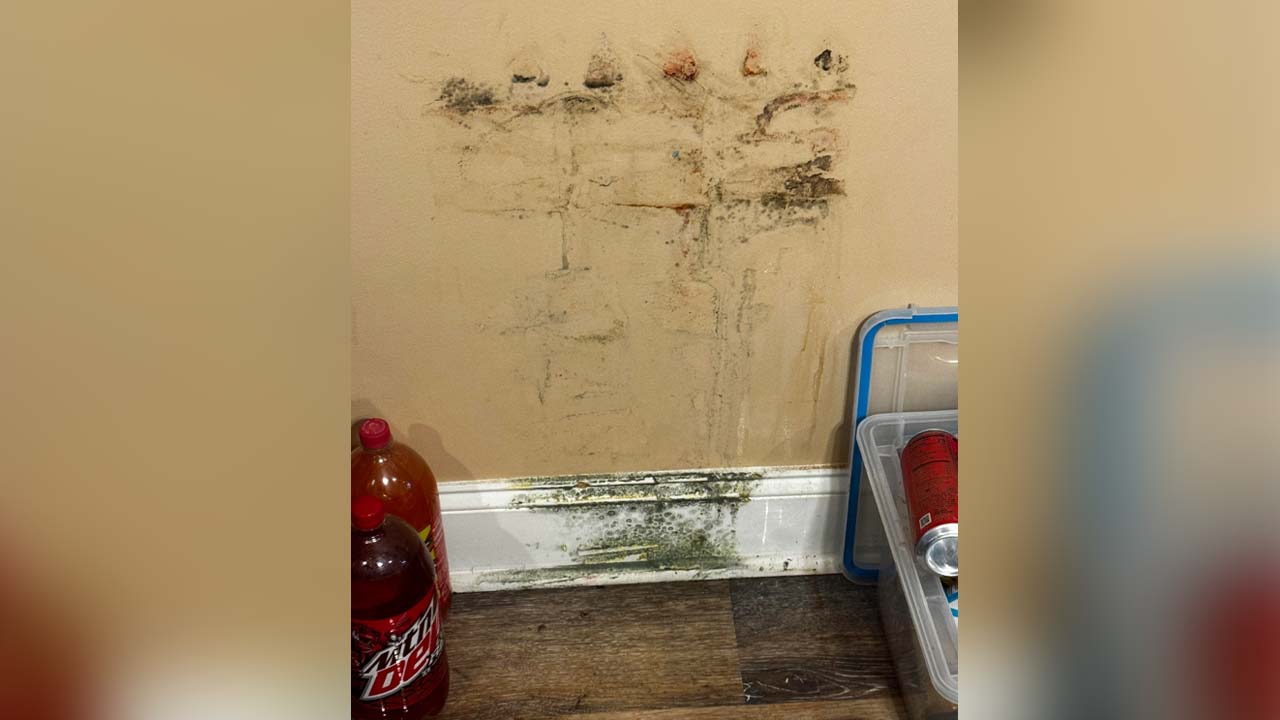 Screenshot: West_Yogurtcloset497 / Kotaku