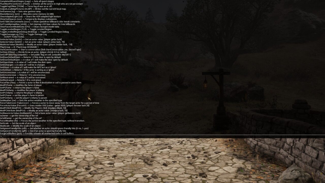 Cheat Your Way To Greatness With The Best Oblivion Remastered Console ...