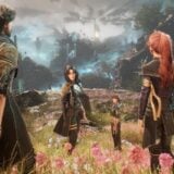 Wanders appear in a beautiful field.