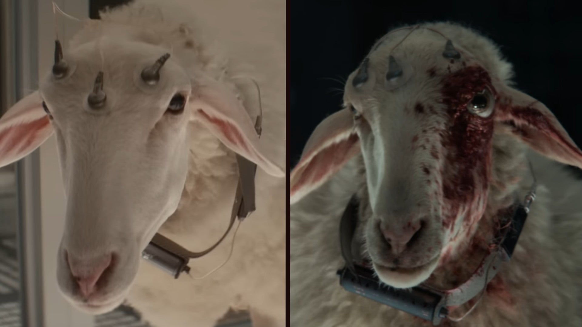 Screenshot: FX / Kotaku