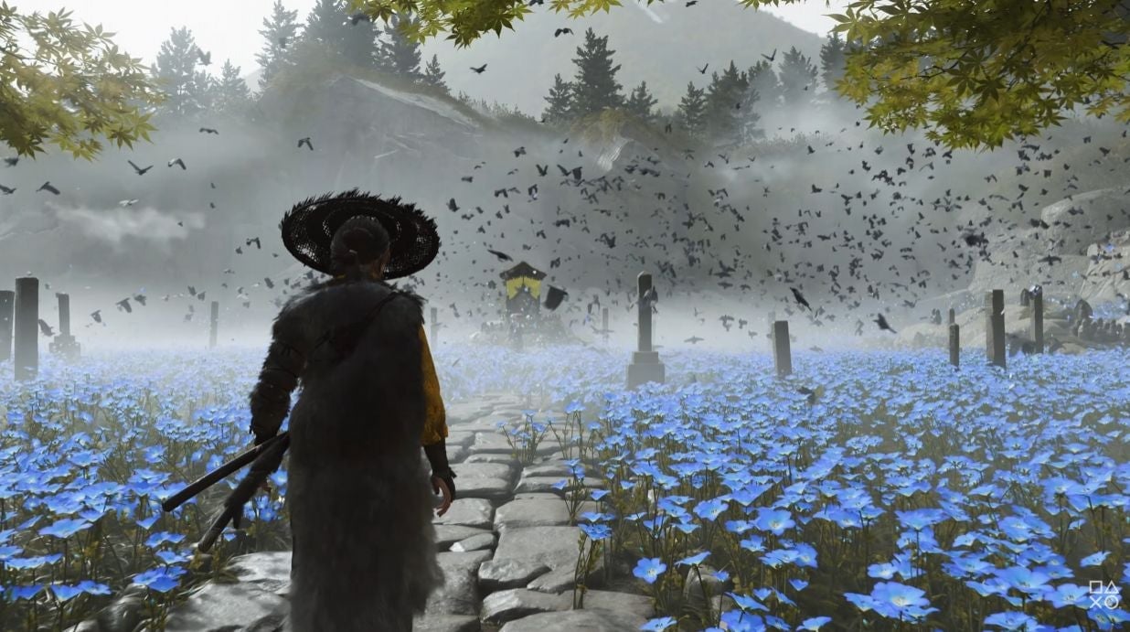 Screenshot: Sony / Kotaku