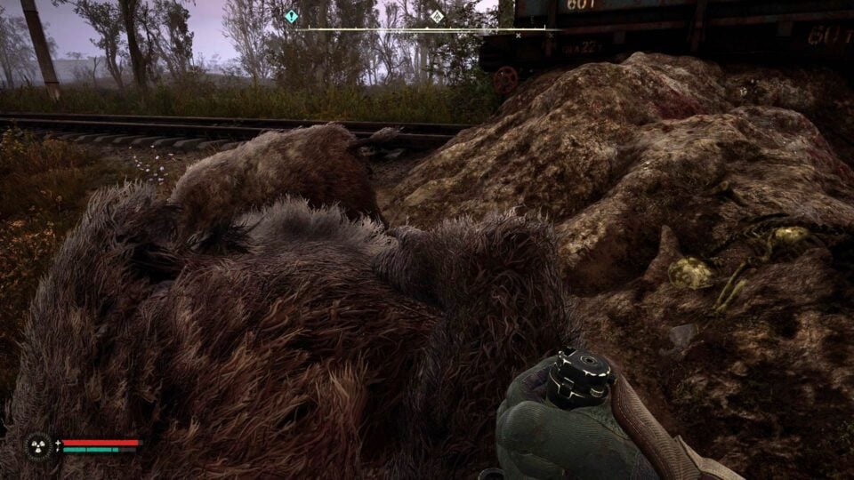 Stalker Rook Hunt You Could Be Earning So Much More For Hunting Mutants In Stalker 2 - Kotaku