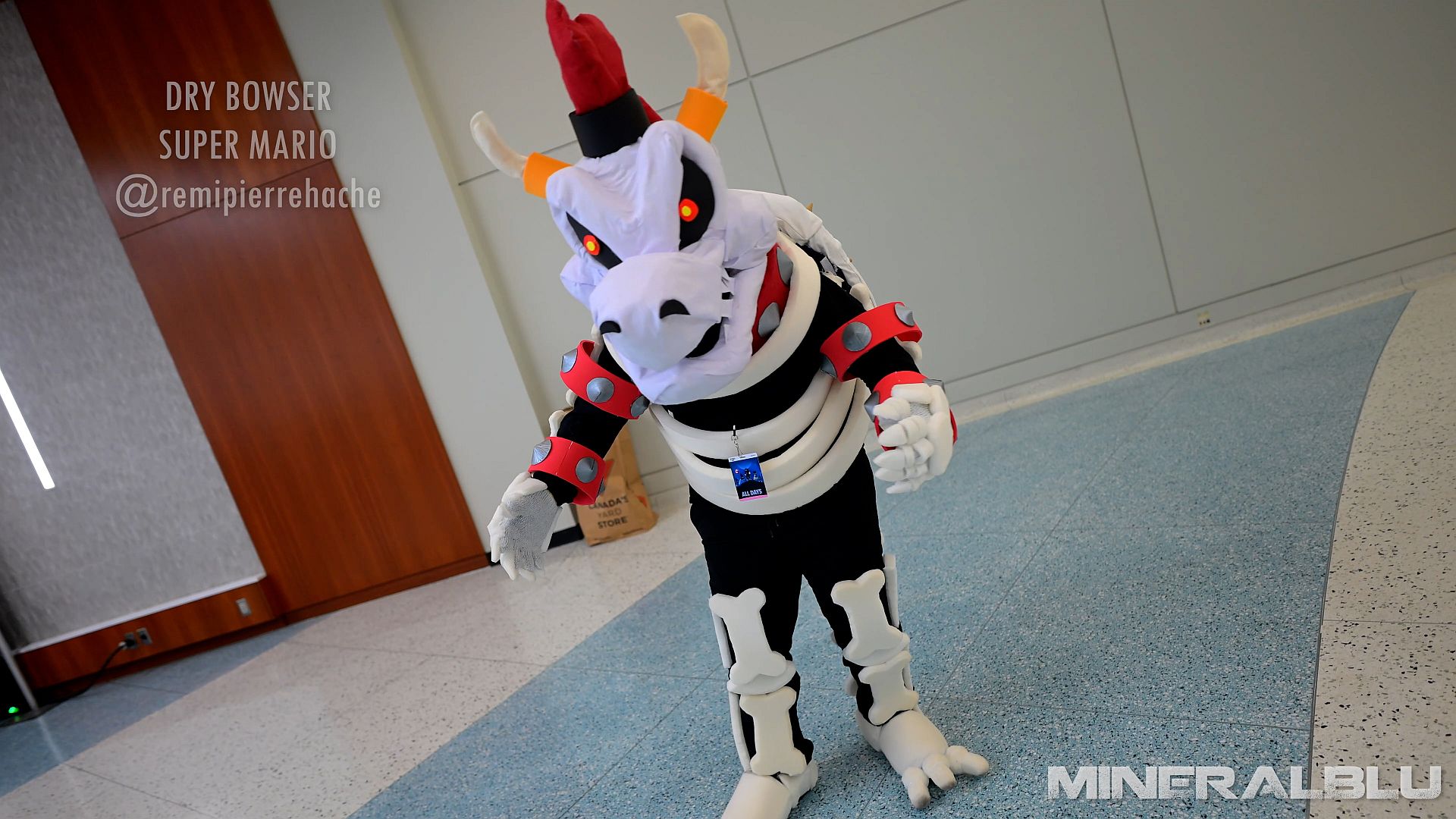 Dry Bowser Super Mario