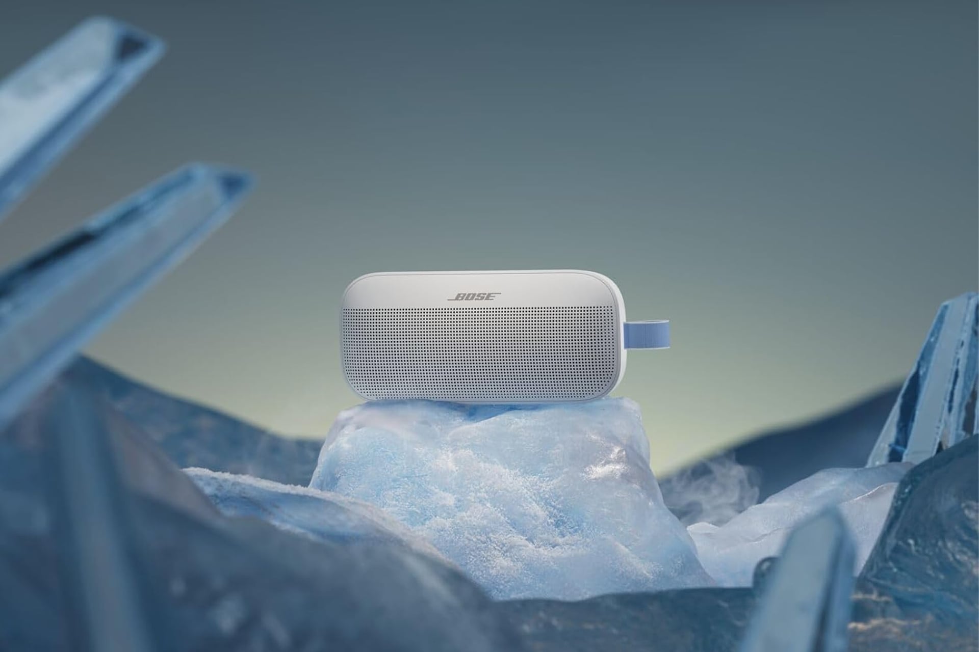 Bosesoundlinkflexgen2