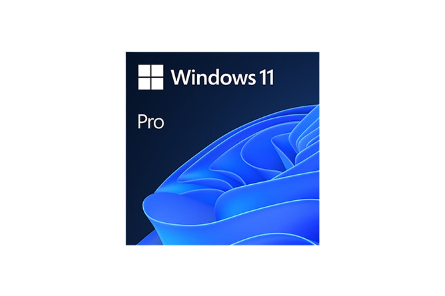 W11pro (1)