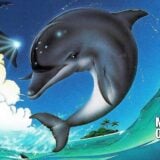 A dolphin jumps out of the ocean.