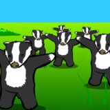 Bfibadgers