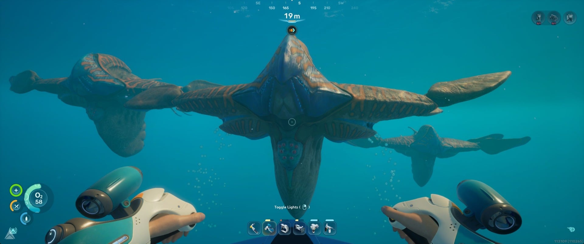 These guys are big but harmless.