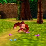 Dk64nso2