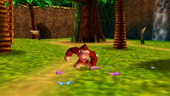 Dk64nso2