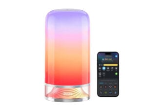 Govee Lamp